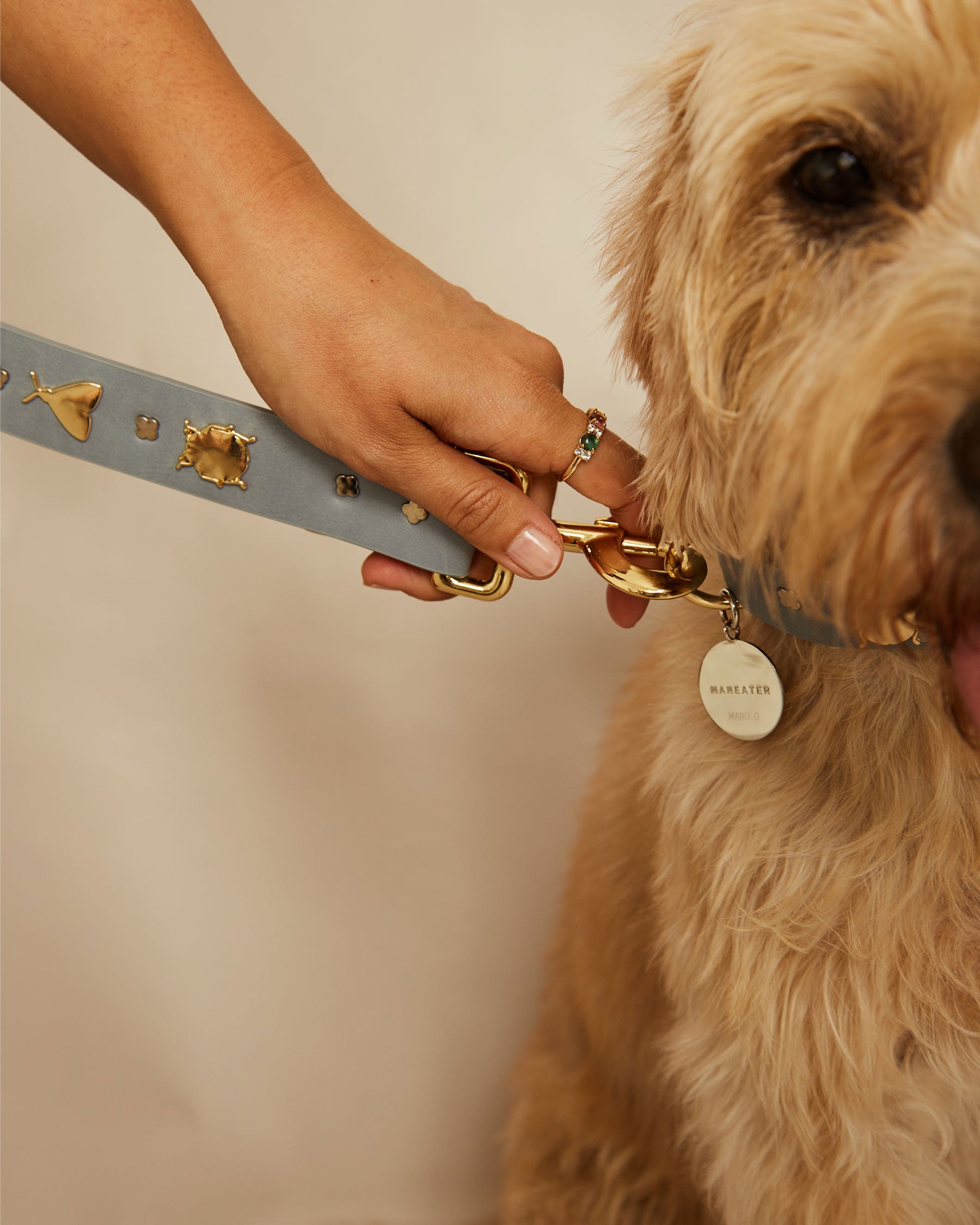 Insect leash for dogs