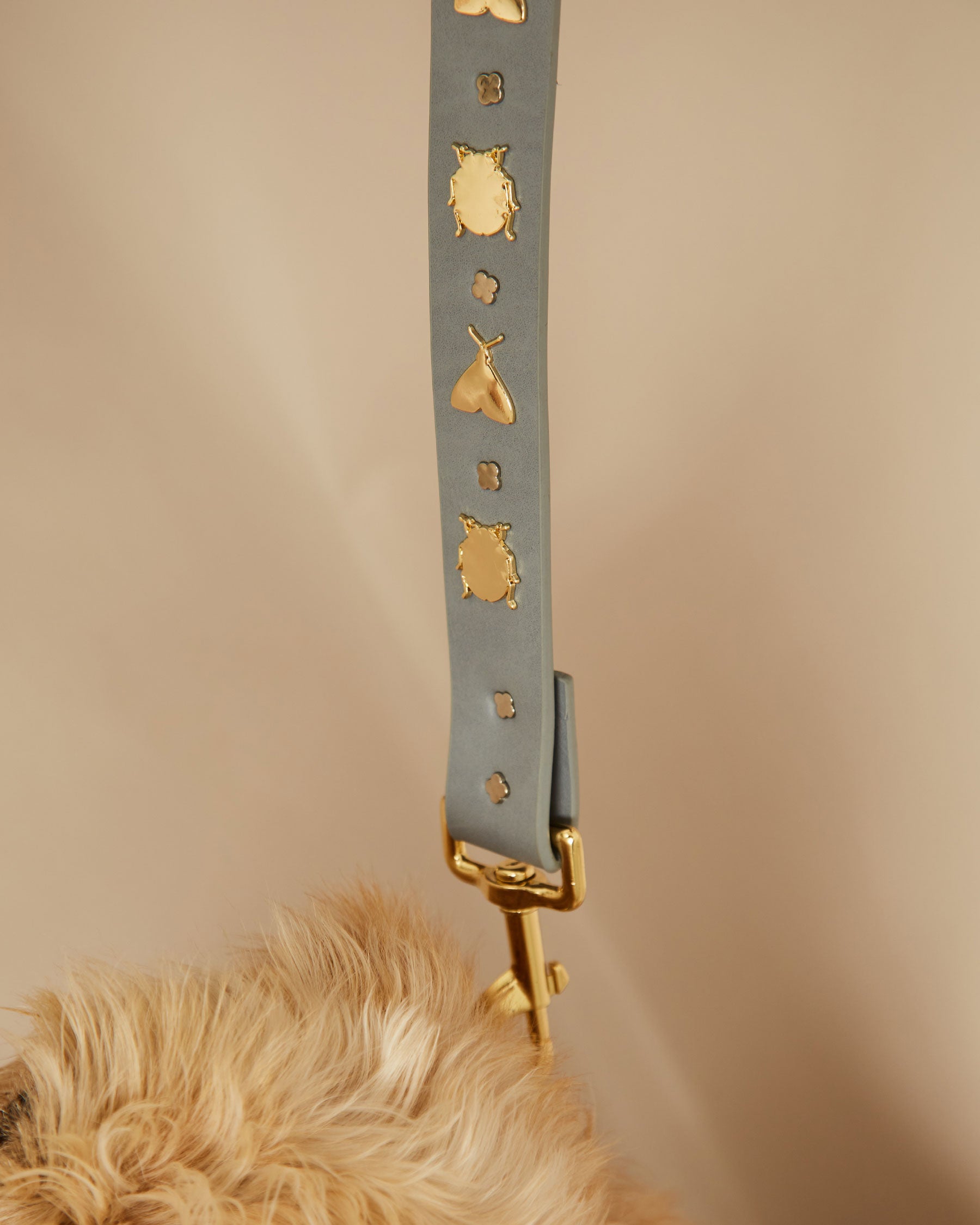 Insect leash for dogs