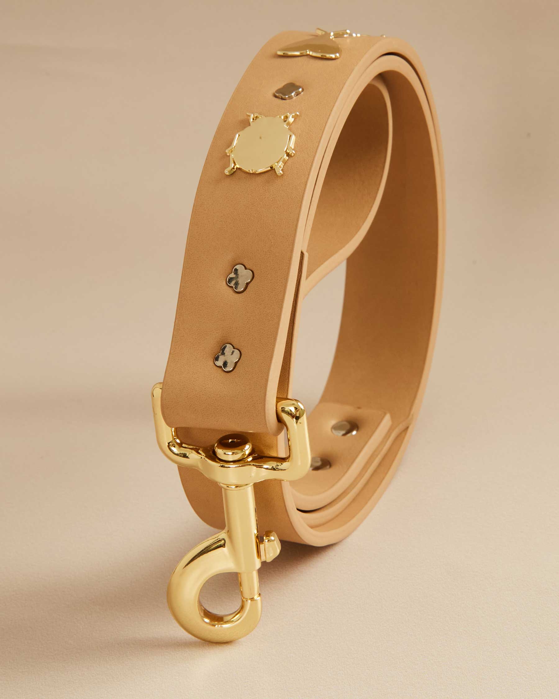 Insect leash for dogs