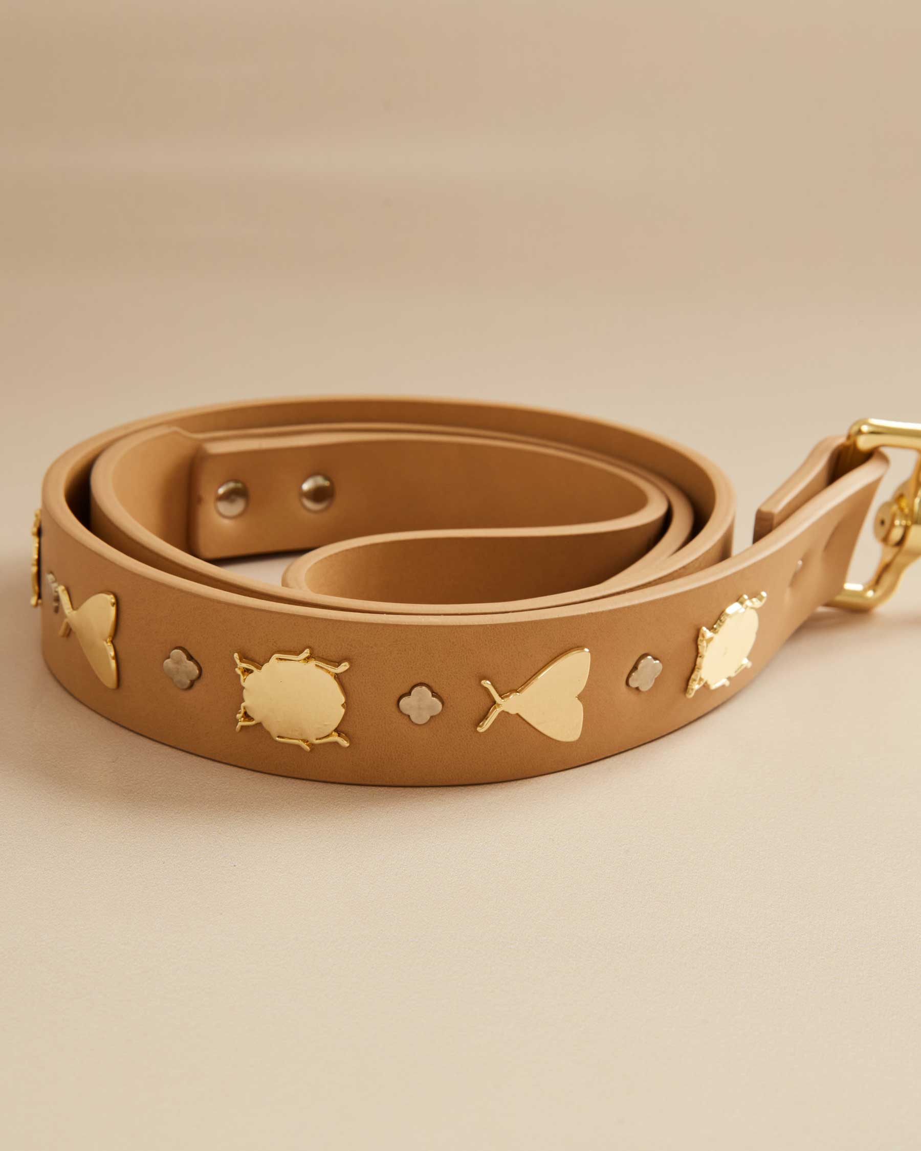 Insect leash for dogs
