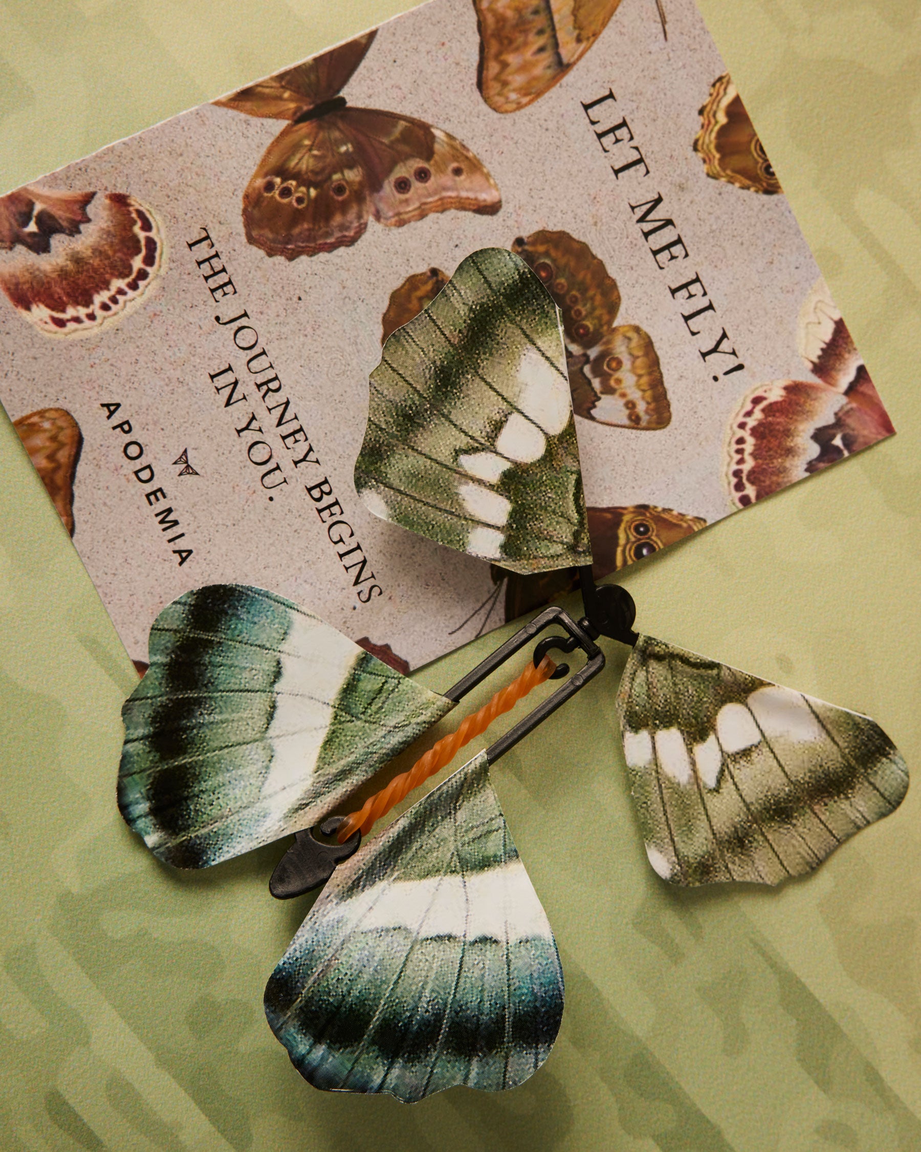 Personalisierte Karte mit fliegendem Schmetterling