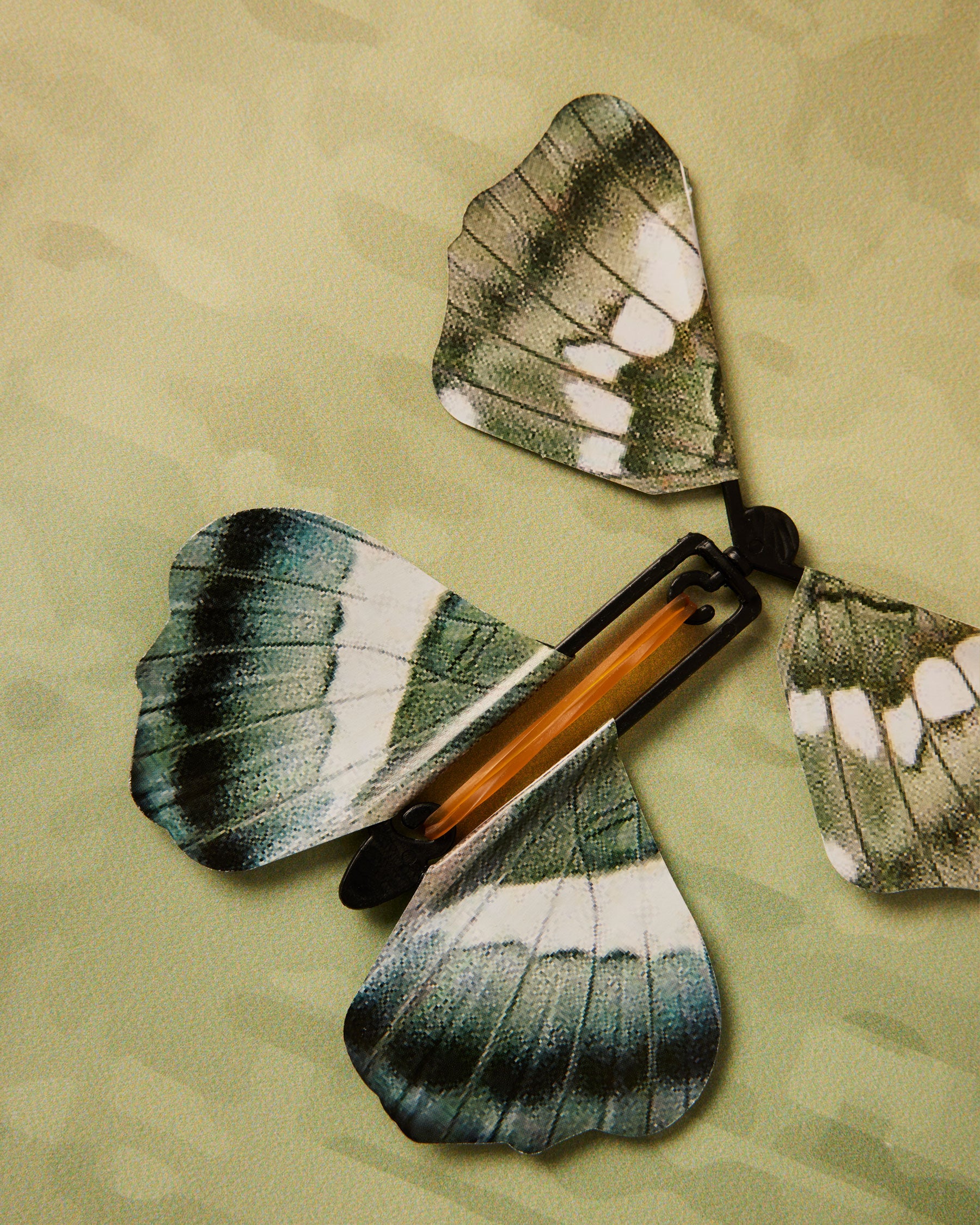 Personalisierte Karte mit fliegendem Schmetterling