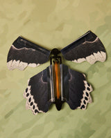 Tarjeta Mariposa Voladora