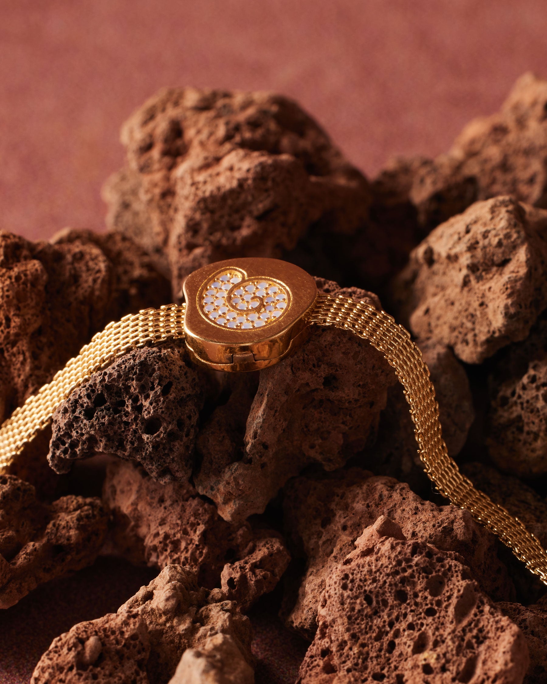 Charm Clip Coquille Fossile