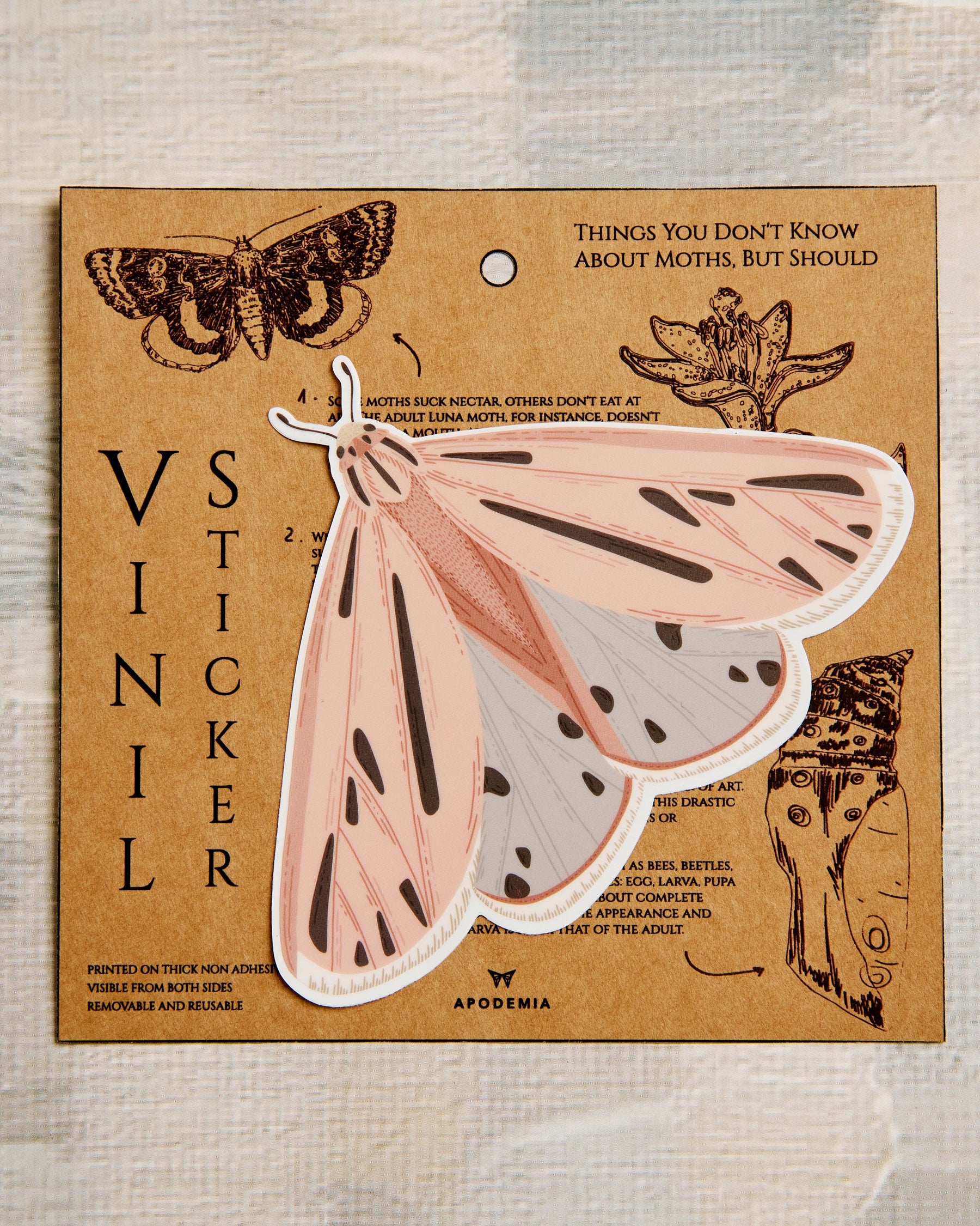 Pink Moth Vinyl