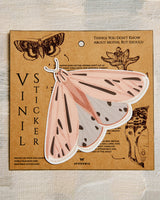 Pink Moth Vinyl - The Gray Box