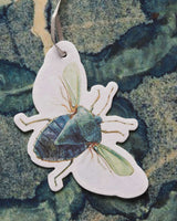 Customizable Scented Insect Card
