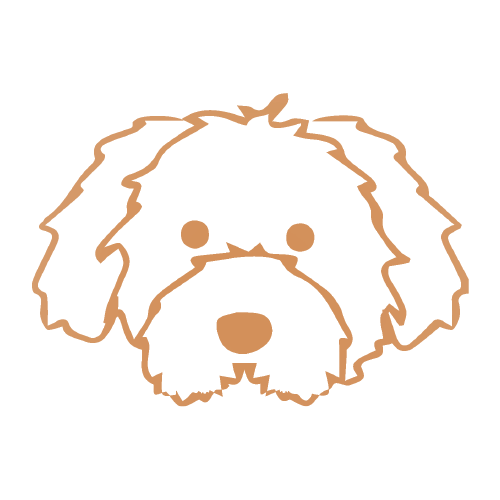Bichón