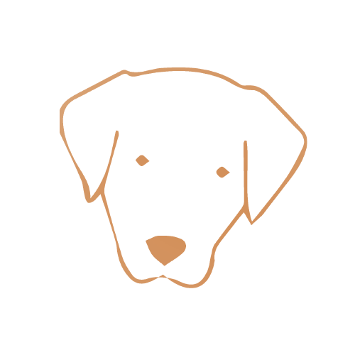 Labrador