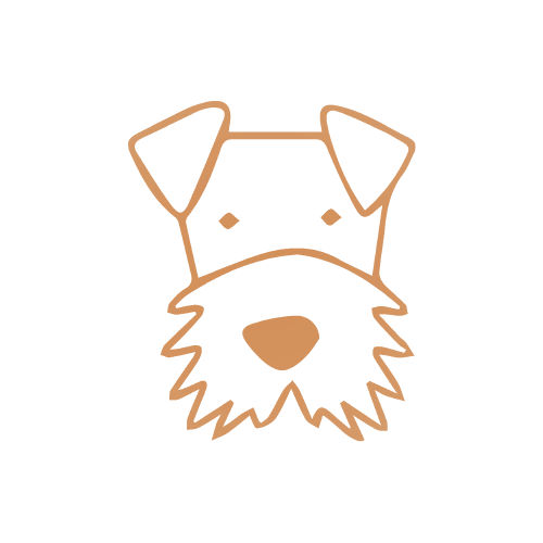 Schnauzer