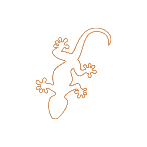 Salamandra