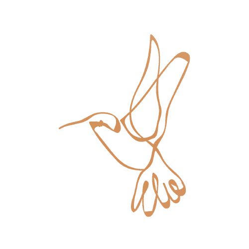 Colibrí