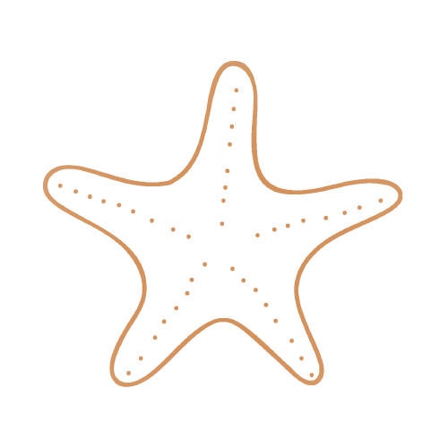 Estrella de mar